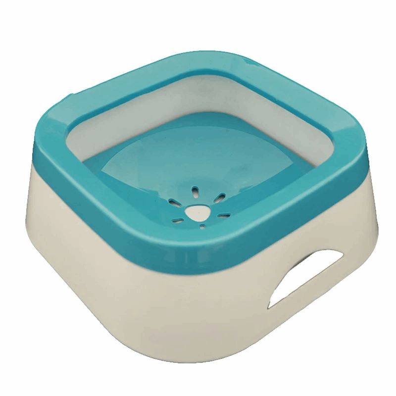 Gamelle d'eau anti - éclaboussures pour chat - universmiaou
