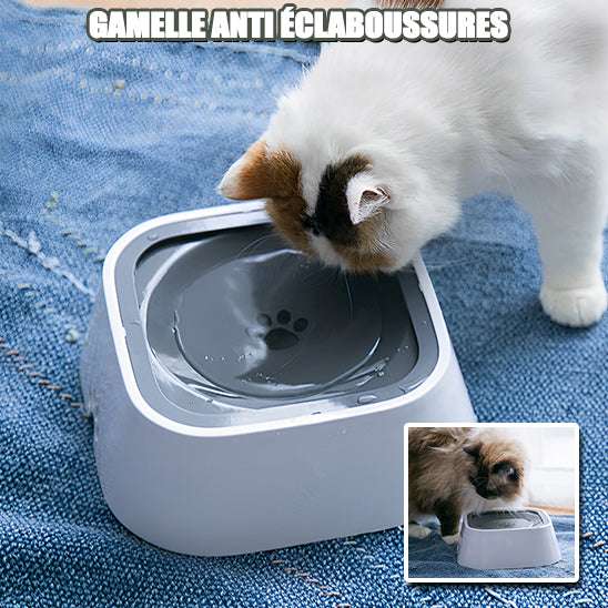 Gamelle d'eau anti - éclaboussures pour chat - universmiaou