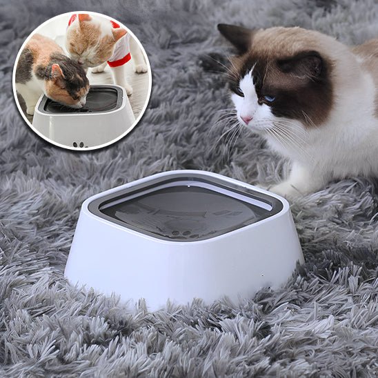 Gamelle d'eau anti - éclaboussures pour chat - universmiaou