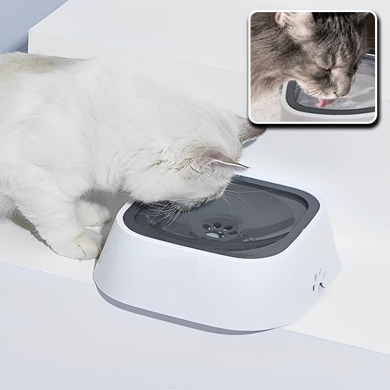 Gamelle d'eau anti - éclaboussures pour chat - universmiaou