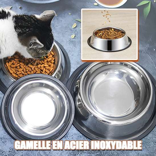 Gamelle en acier inoxydable pour chat - universmiaou