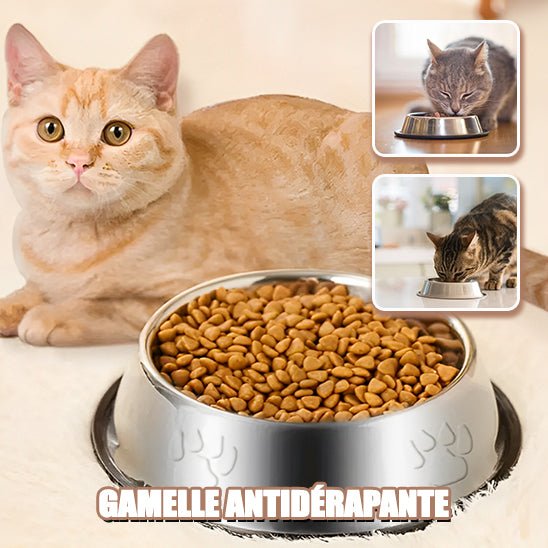 Gamelle en acier inoxydable pour chat - universmiaou