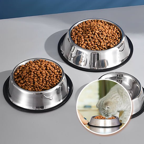Gamelle en acier inoxydable pour chat - universmiaou