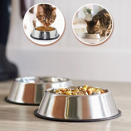 Gamelle en acier inoxydable pour chat - universmiaou