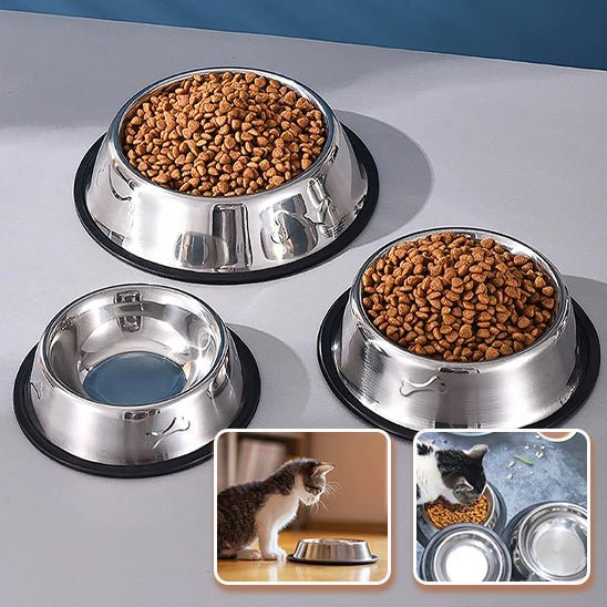 Gamelle en acier inoxydable pour chat - universmiaou