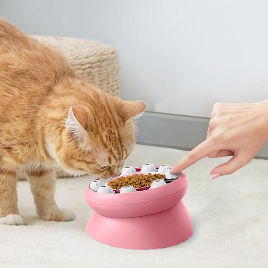 Gamelle puzzle pour chat - universmiaou