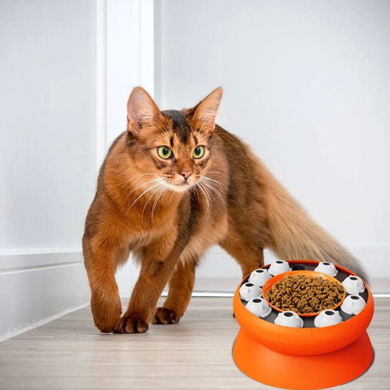 Gamelle puzzle pour chat - universmiaou