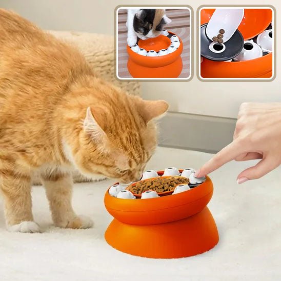 Gamelle puzzle pour chat - universmiaou