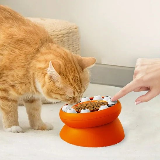 Gamelle puzzle pour chat - universmiaou