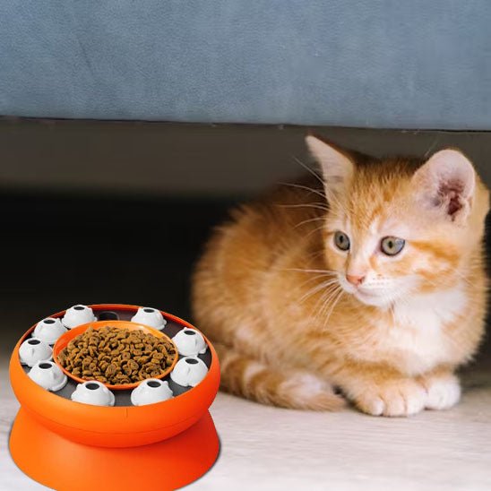 Gamelle puzzle pour chat - universmiaou