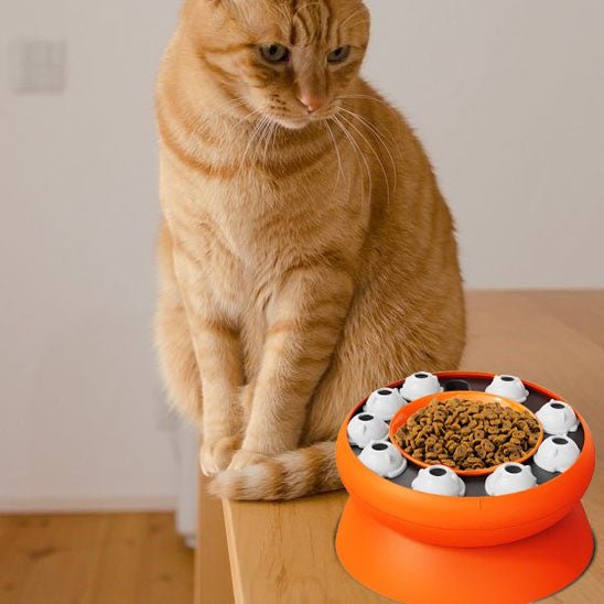 Gamelle puzzle pour chat - universmiaou
