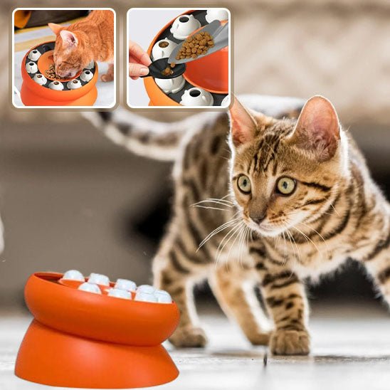 Gamelle puzzle pour chat - universmiaou