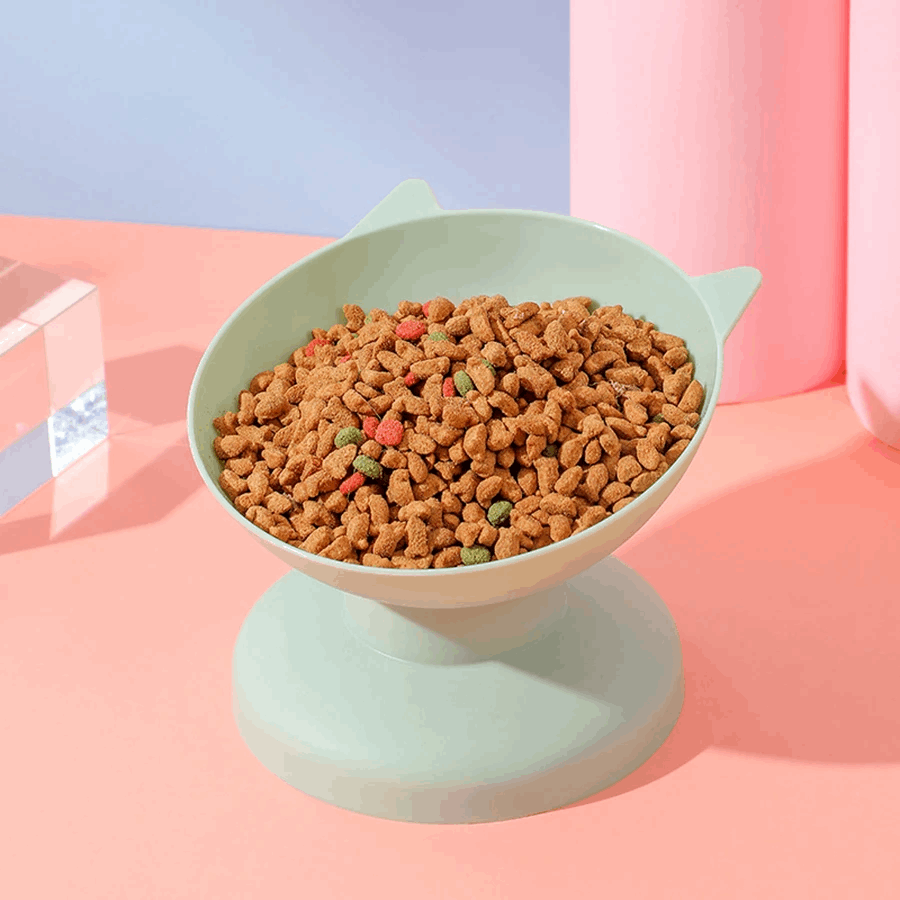 Gamelle surélevée inclinée pour chat - universmiaou