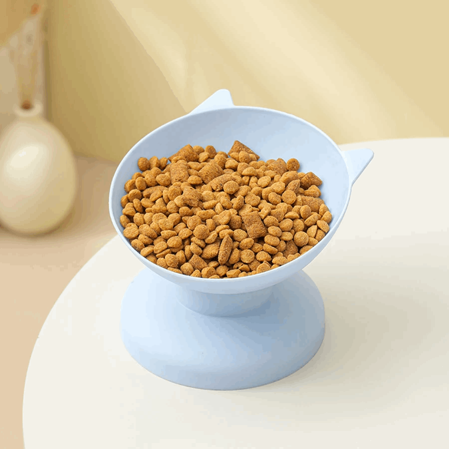 Gamelle surélevée inclinée pour chat - universmiaou