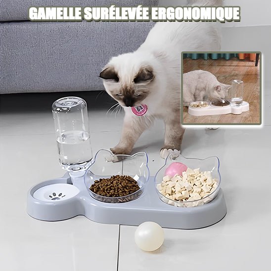 Gamelle surélevée pour chat - universmiaou