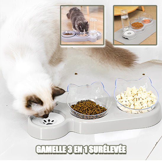 Gamelle surélevée pour chat - universmiaou