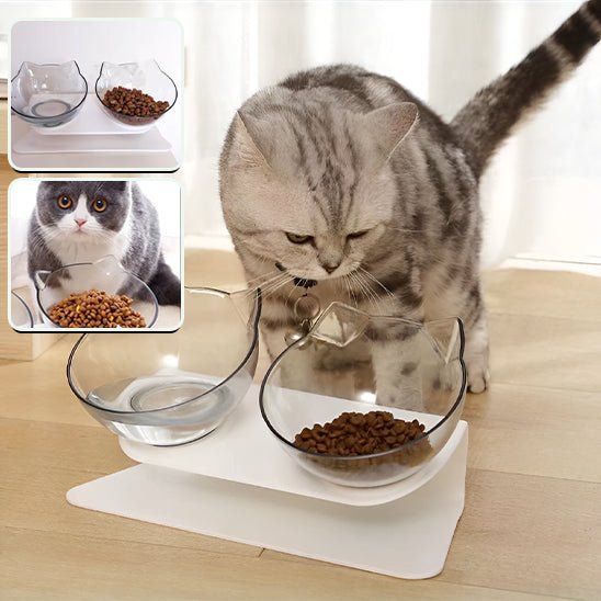 Gamelle transparente inclinable pour chat - universmiaou