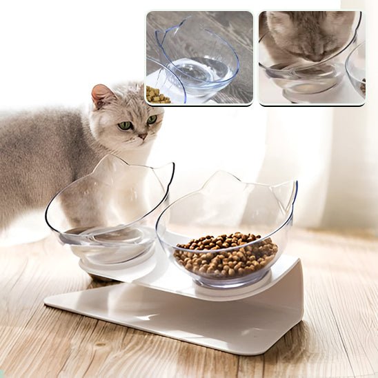 Gamelle transparente inclinable pour chat - universmiaou