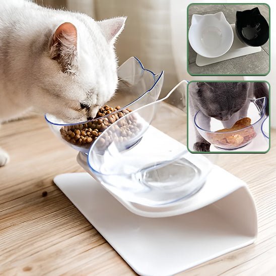 Gamelle transparente inclinable pour chat - universmiaou