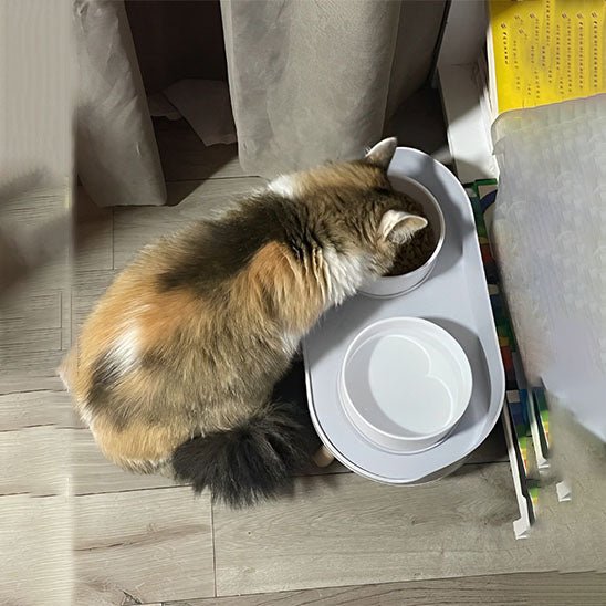 Gamelle vintage pour chat - universmiaou