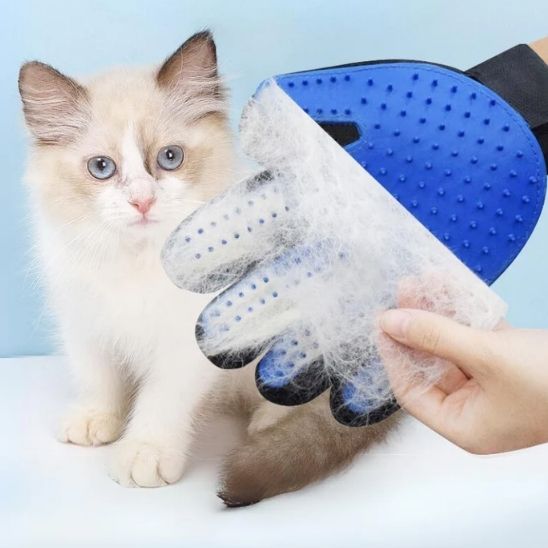 Gants en caoutchouc pour poils de chat - universmiaou