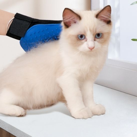 Gants en caoutchouc pour poils de chat - universmiaou