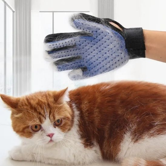 Gants en caoutchouc pour poils de chat - universmiaou