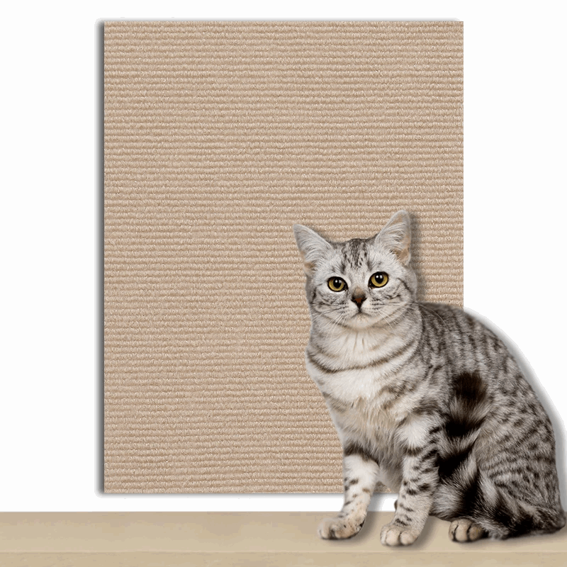 Griffoir à découper pour chat d'intérieur - universmiaou