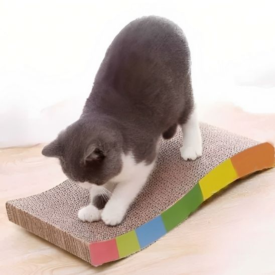griffoir chat - universmiaou