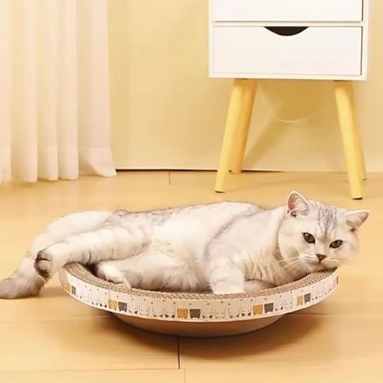 Griffoir en forme de bassin confortable pour chat - universmiaou