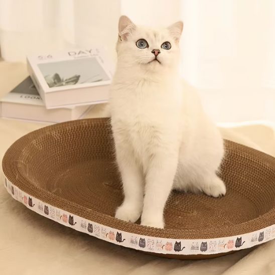 Griffoir en forme de bassin confortable pour chat - universmiaou