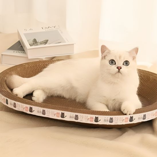 Griffoir en forme de bassin confortable pour chat - universmiaou
