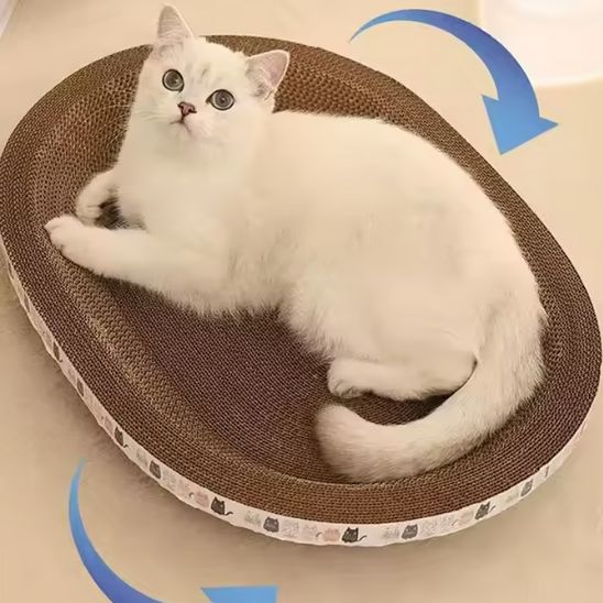 Griffoir en forme de bassin confortable pour chat - universmiaou