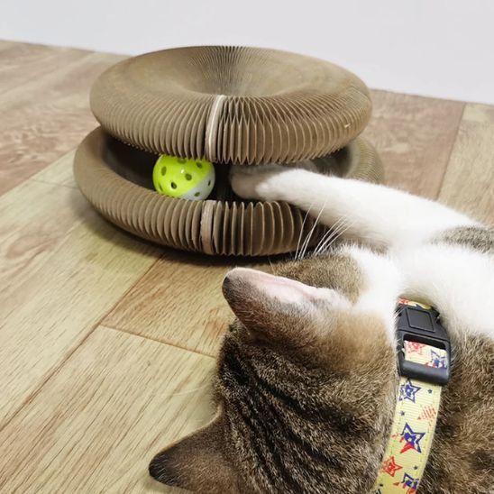 Griffoir magique pliable avec balle pour Chat - universmiaou