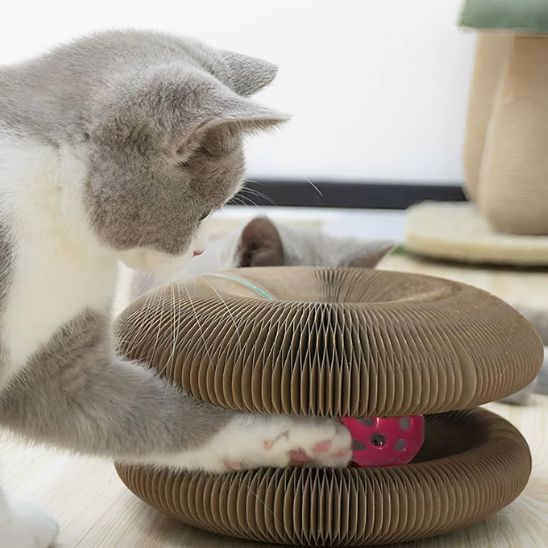 Griffoir magique pliable avec balle pour Chat - universmiaou