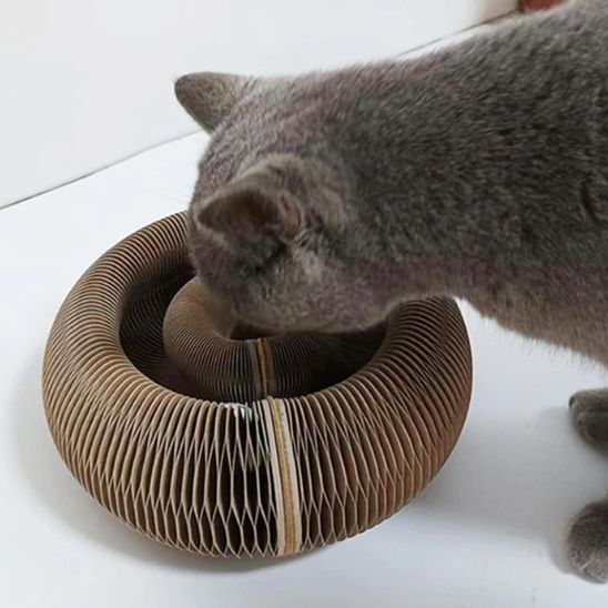 Griffoir magique pliable avec balle pour Chat - universmiaou
