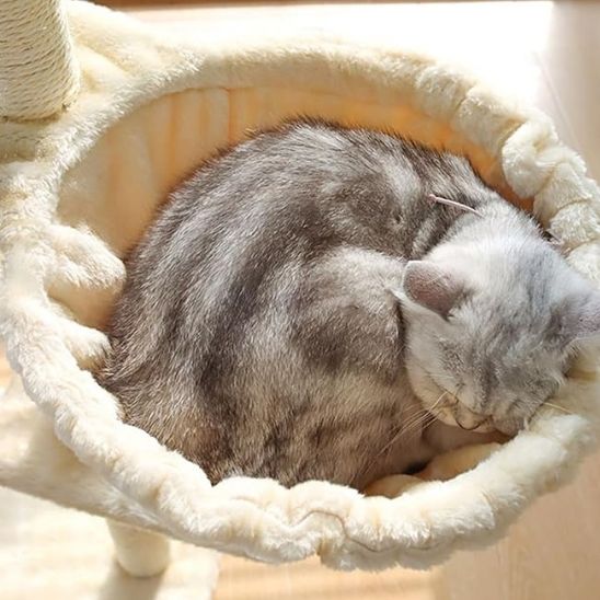 hamac chaud et confortable en peluche pour chat - universmiaou