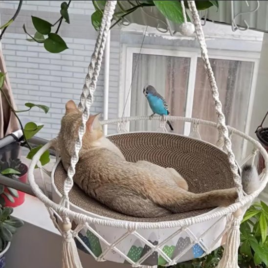 hamac de fenêtre tricoté et suspendu pour chat - universmiaou