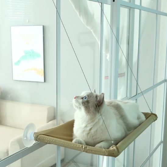 Hamac monté sur fenêtre pour chat d'intérieur - universmiaou