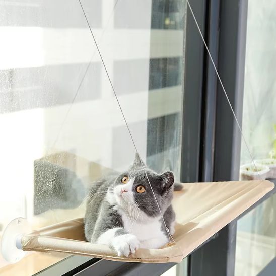 Hamac monté sur fenêtre pour chat d'intérieur - universmiaou