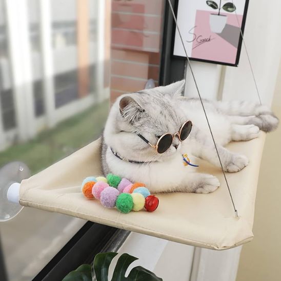Hamac monté sur fenêtre pour chat d'intérieur - universmiaou