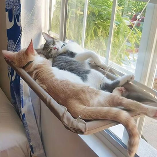 Hamac monté sur fenêtre pour chat d'intérieur - universmiaou
