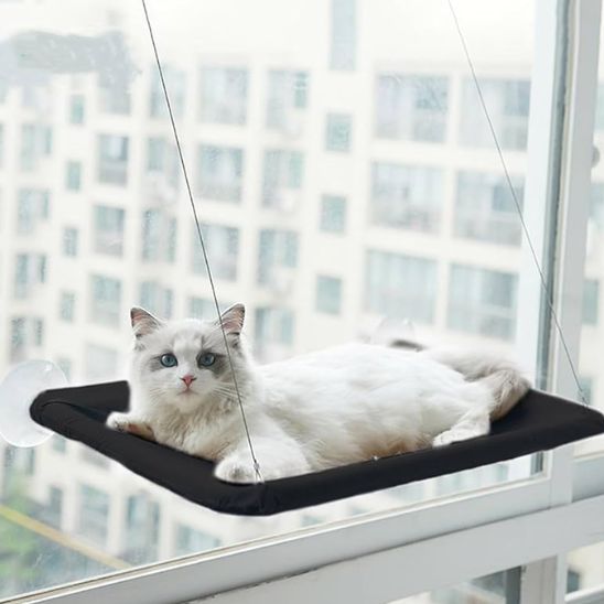 Hamac monté sur fenêtre pour chat d'intérieur - universmiaou