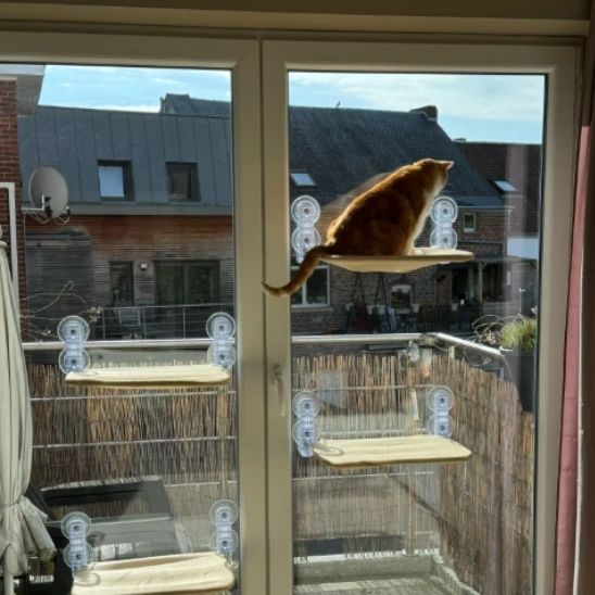 Hamac murale pliable pour chats - universmiaou