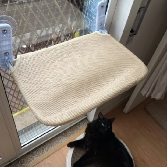 Hamac murale pliable pour chats - universmiaou