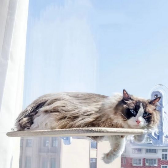 Hamac murale pliable pour chats - universmiaou