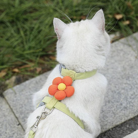 harnais anti - fugue réglable pour chat - universmiaou