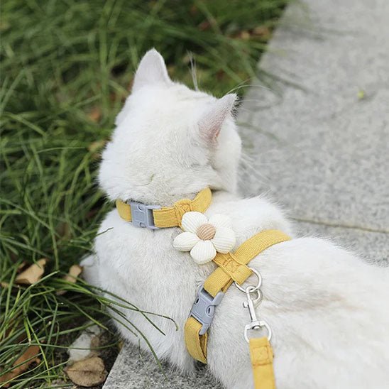 harnais anti - fugue réglable pour chat - universmiaou