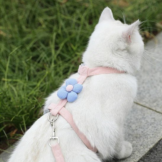 harnais anti - fugue réglable pour chat - universmiaou