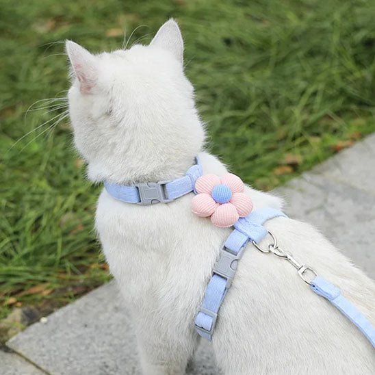 harnais anti - fugue réglable pour chat - universmiaou